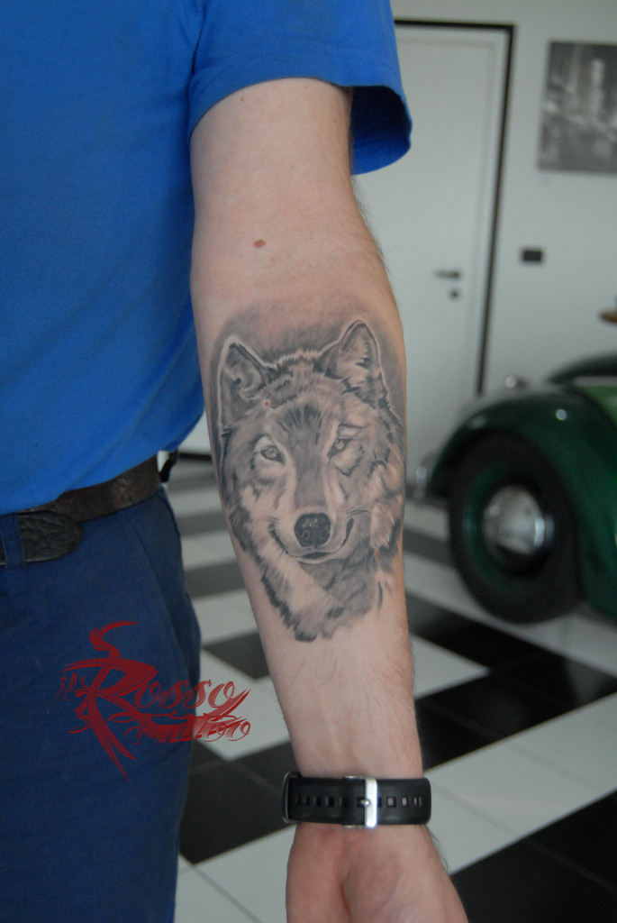 Tattoo lupo realistico guarito